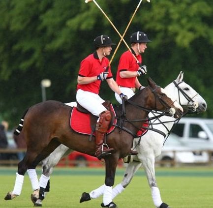 The Royal princes William and Harry in action at Cirencester Park Polo Club.